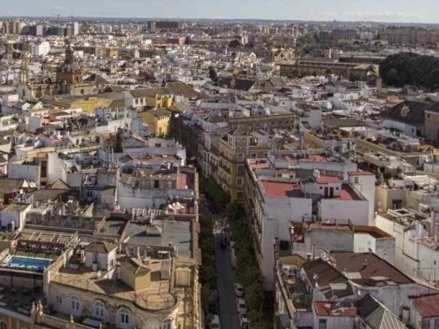 Tours in Seville