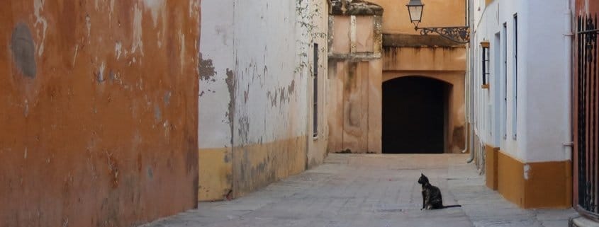 Tours de verano en Sevilla. La mañana y el atardecer.