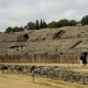 italica