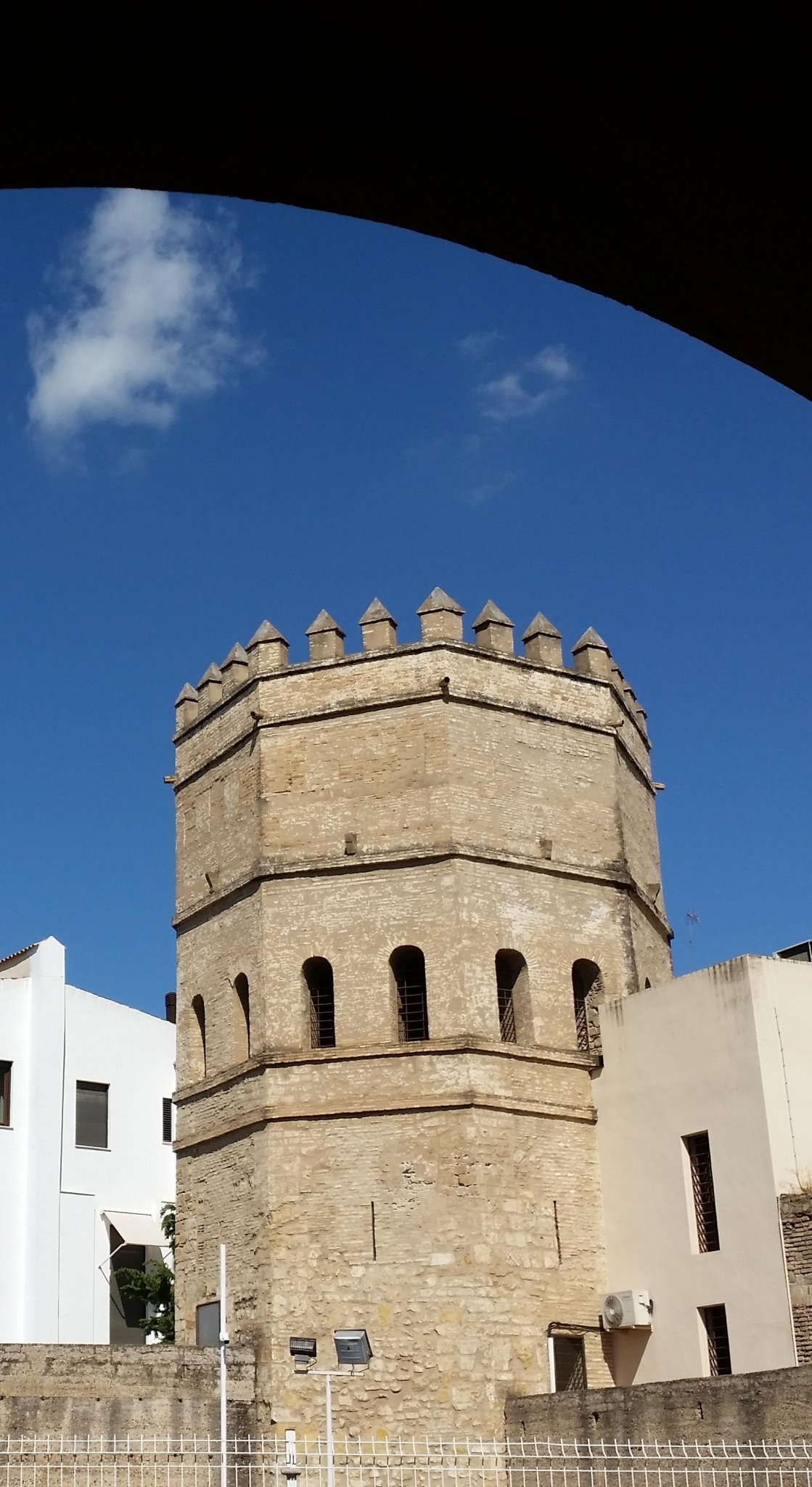 La Casa de la Moneda de Sevilla y su reciente restauración La Casa de la Moneda de Sevilla y su reciente restauración